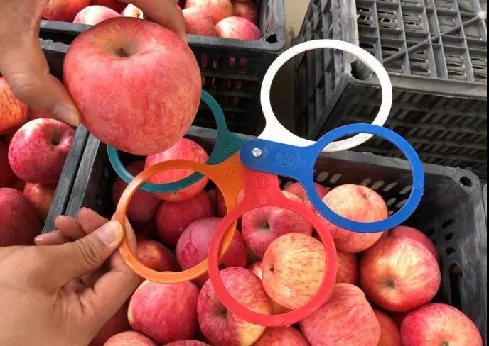 "疯狂的苹果"背后,是"忧伤的果农"!