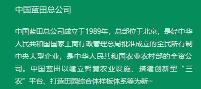 中国蓝田官网简介.jpg