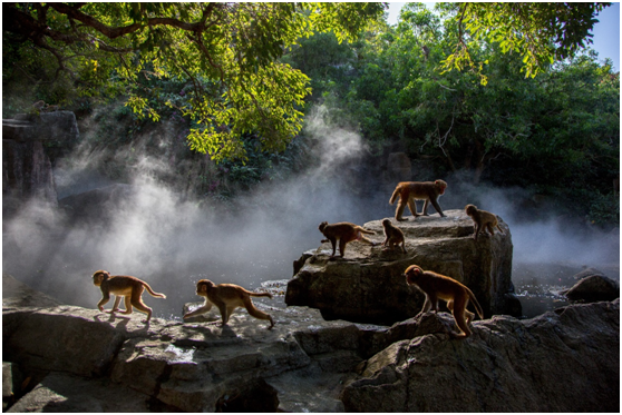首页 > 公司  另外,随着疫情得到有效控制,三特索道旗下的千岛湖索道
