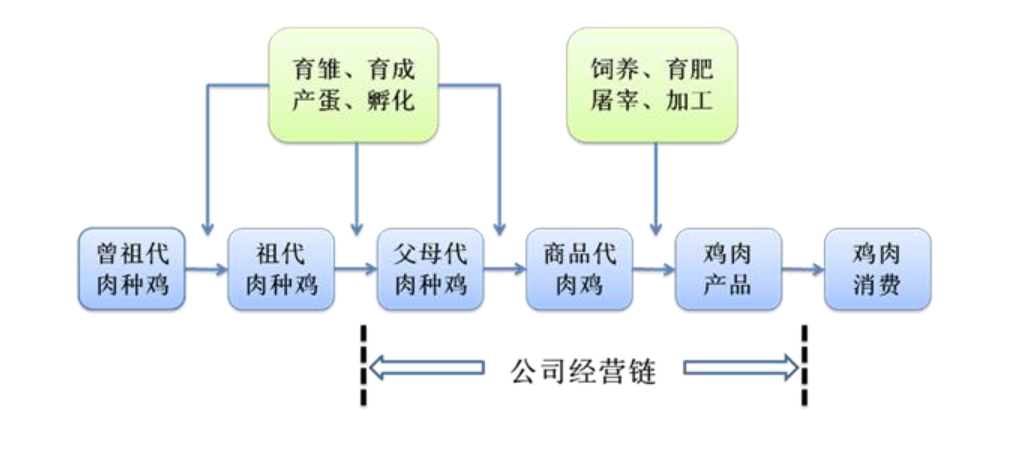 1584966798611140.png 仙坛食品2.png