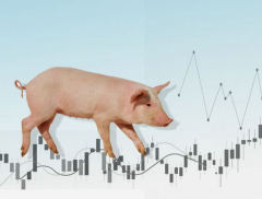 猪价回升、成本走低 头部猪企陆续实现单月盈亏平衡