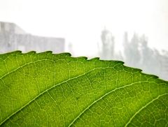 长电科技产品获权威机构碳排放认证，彰显企业绿色发展动能