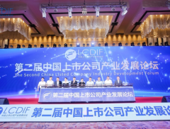 第二届中国上市公司产业发展论坛在合肥举办 与会嘉宾表示：把握...