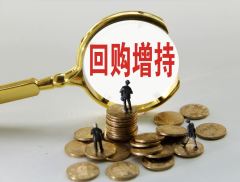 祥和实业获得增持回购专项贷款 为台州首家公司