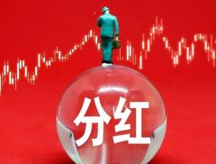 超300亿元！贵州茅台拟派发2024年中期现金红利