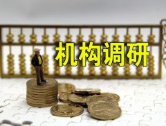 信德新材：积极推进项目储备  逐步强化海外市场中长期布局