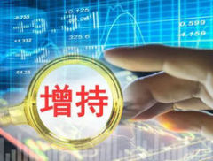 轮胎板块再现大额增持 赛轮轮胎实控方拟增持不超10亿元 
