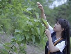 刚刚，李子柒又更新了！一日涨粉超350万， 热搜爆了！