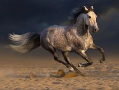 人工智能，批量涨停！