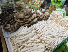 投资动作频频 众兴菌业拟5.5亿元建设食用菌产业园