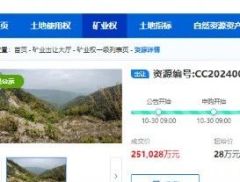 28万起拍价25.1亿元竞得，锂矿又现争夺大战