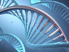 仁度生物TB-RNA检测技术助力《全国结核病防治规划（202...