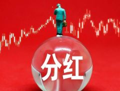 54亿元！宁德时代，大手笔派发特别分红