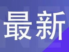 中东，最新消息！叙利亚大马士革机场未来几天将重新开放