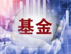 ETF配置占比不断攀升！