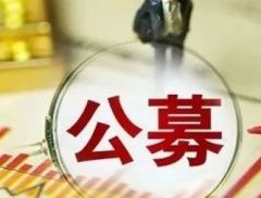 2024年基金十大新闻出炉！32万亿公募破浪前行