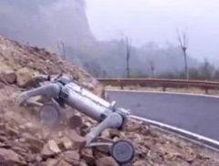 这只狗，火爆全球！马斯克也点赞！
