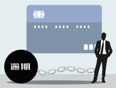 山东华鹏公司及子公司累计逾期债务金额合计约7.86亿元  公...