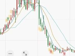 21家公司，超八成股价跌破1港元！港股高教股怎么了？